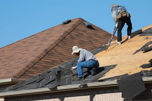 Skylights in Walford, IA