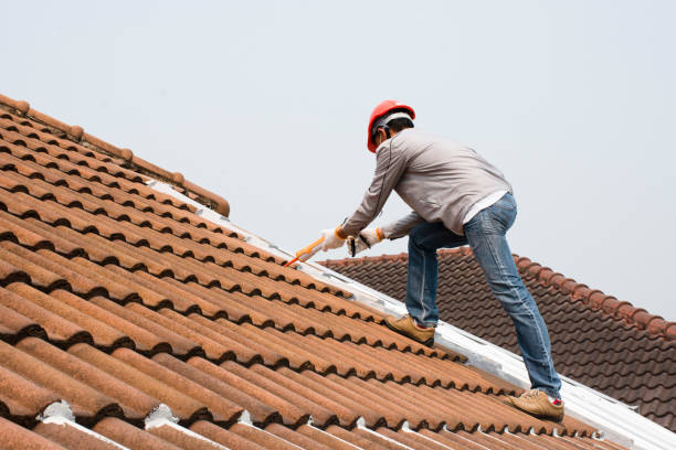Best Roof Leak Repair  in Walford, IA